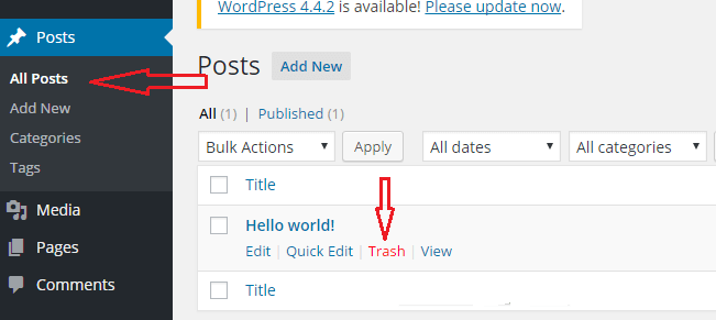 Delete Default Post Hello World